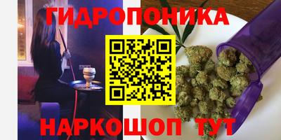 mdpv Усть-Илимск