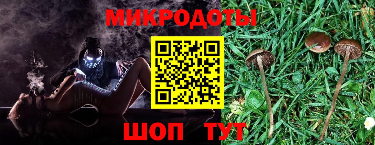 Псилоцибиновые грибы Psilocybe  Вход с VPN  Ивантеевка 